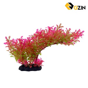 GZIN 회양목 나무 핑크